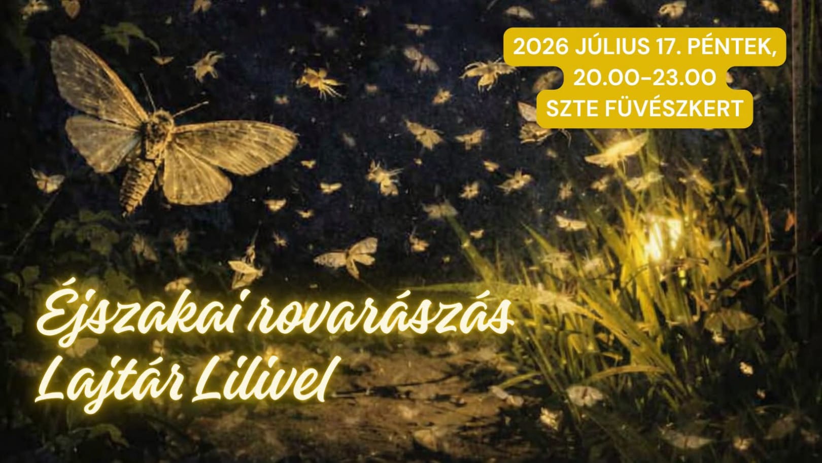 Éjszakai rovarászás a Füvészkertben