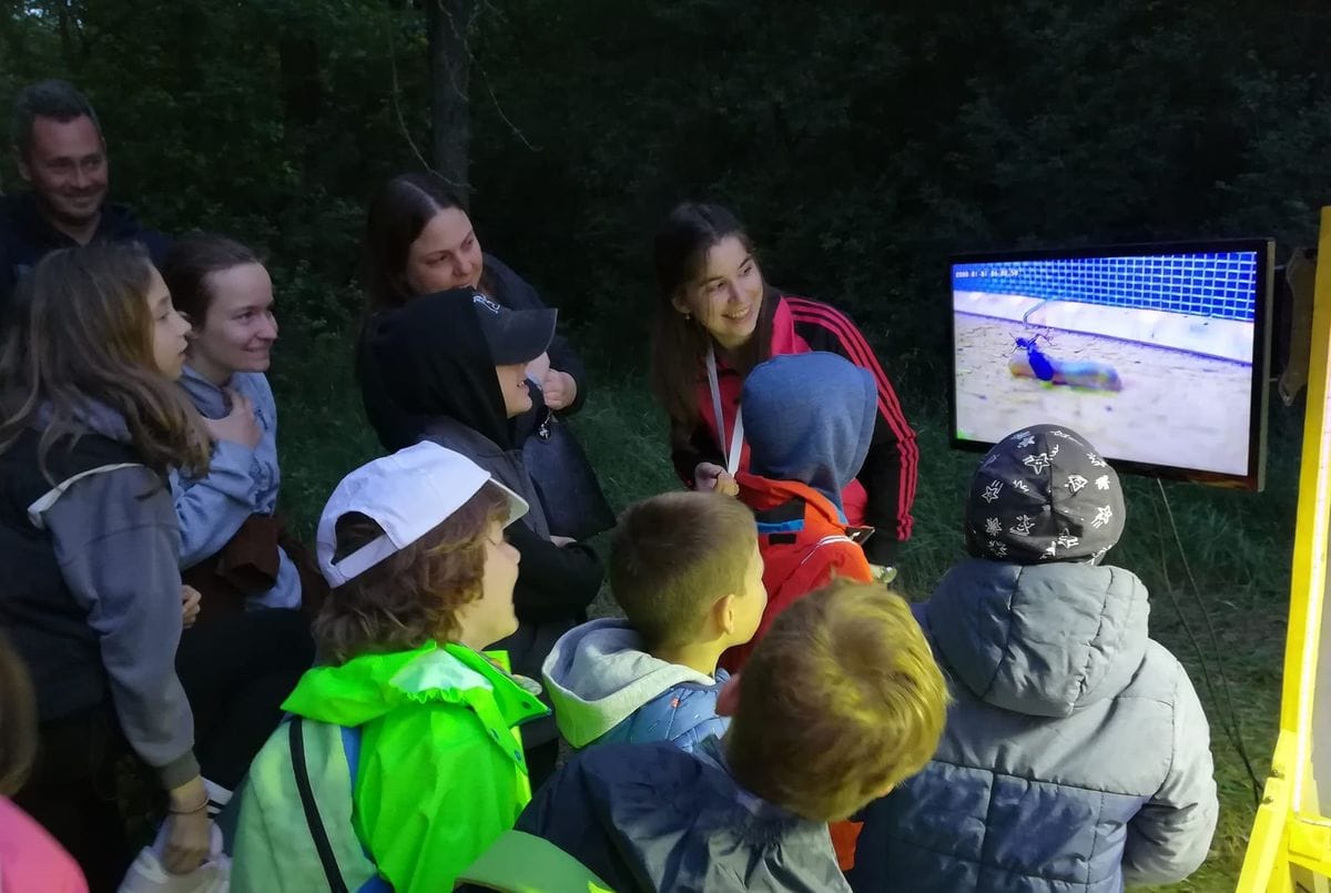 Sötétedés után indul a varázslat: különleges éjszakai rovarlesre hív a fiatal biológus