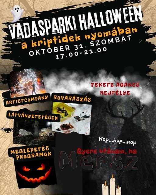 Halloween-i rovarászprogram lesz 2026.10.31-én Szegeden