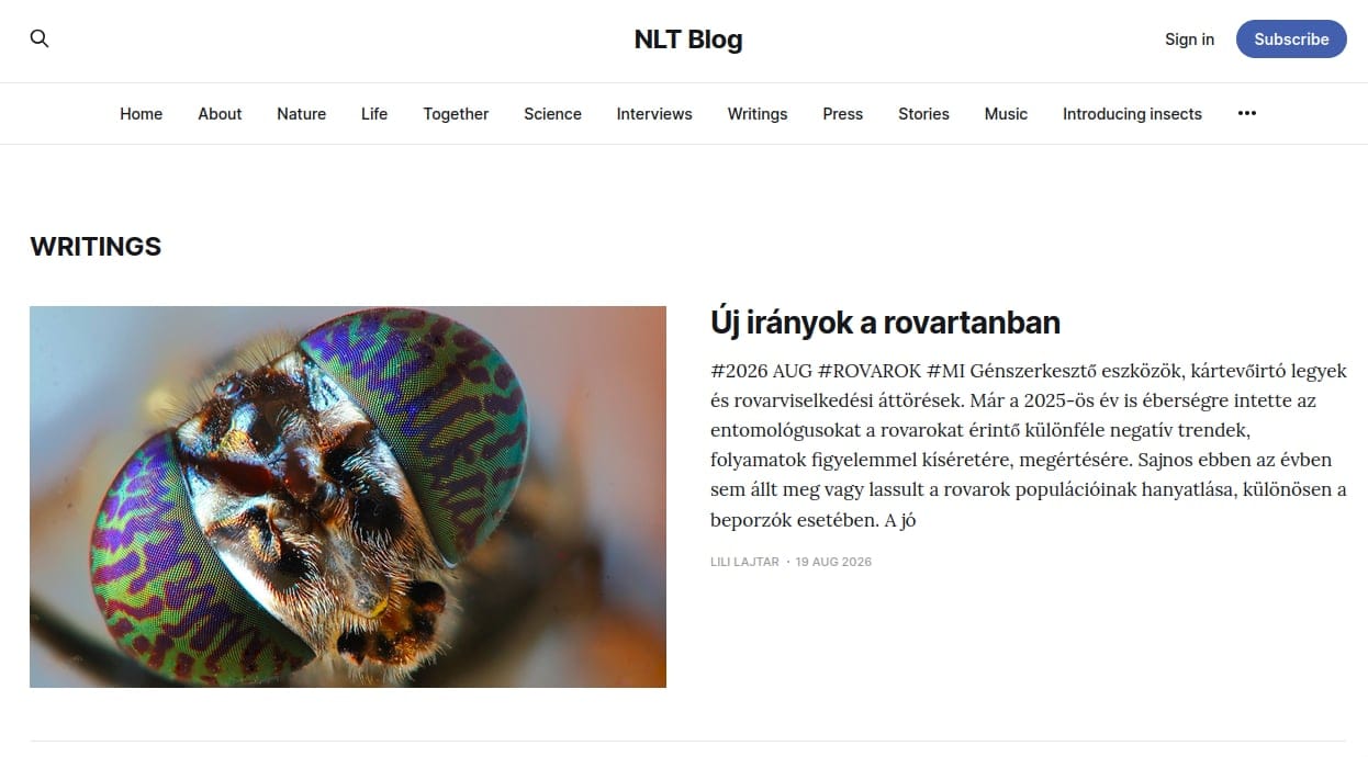 Cikkírói lehetőség