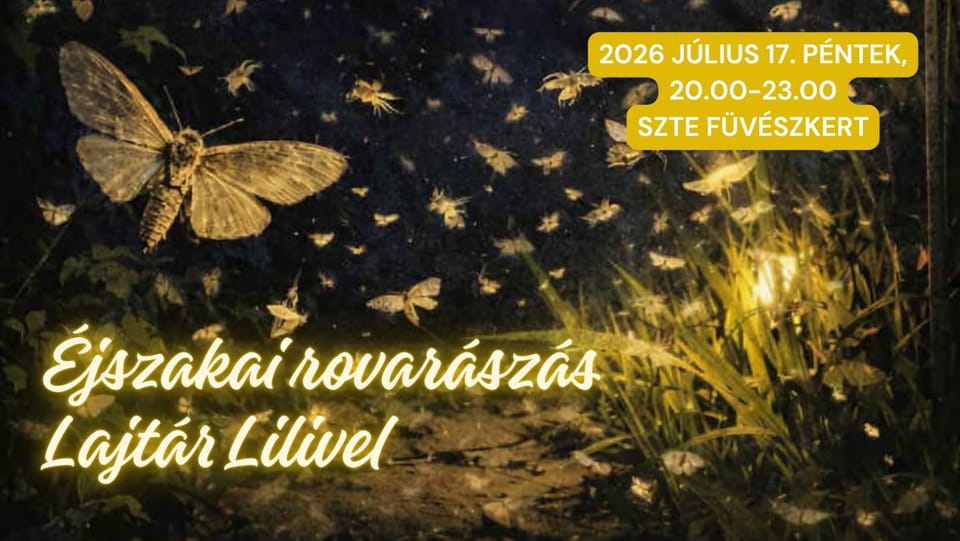 Éjszakai rovarászás a Füvészkertben