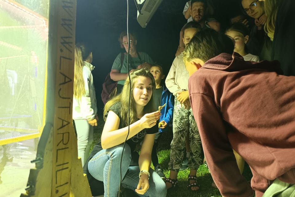 Nem mindennapi látvány fogadta azokat, akik sötétedés után az újszegedi ligetbe mentek